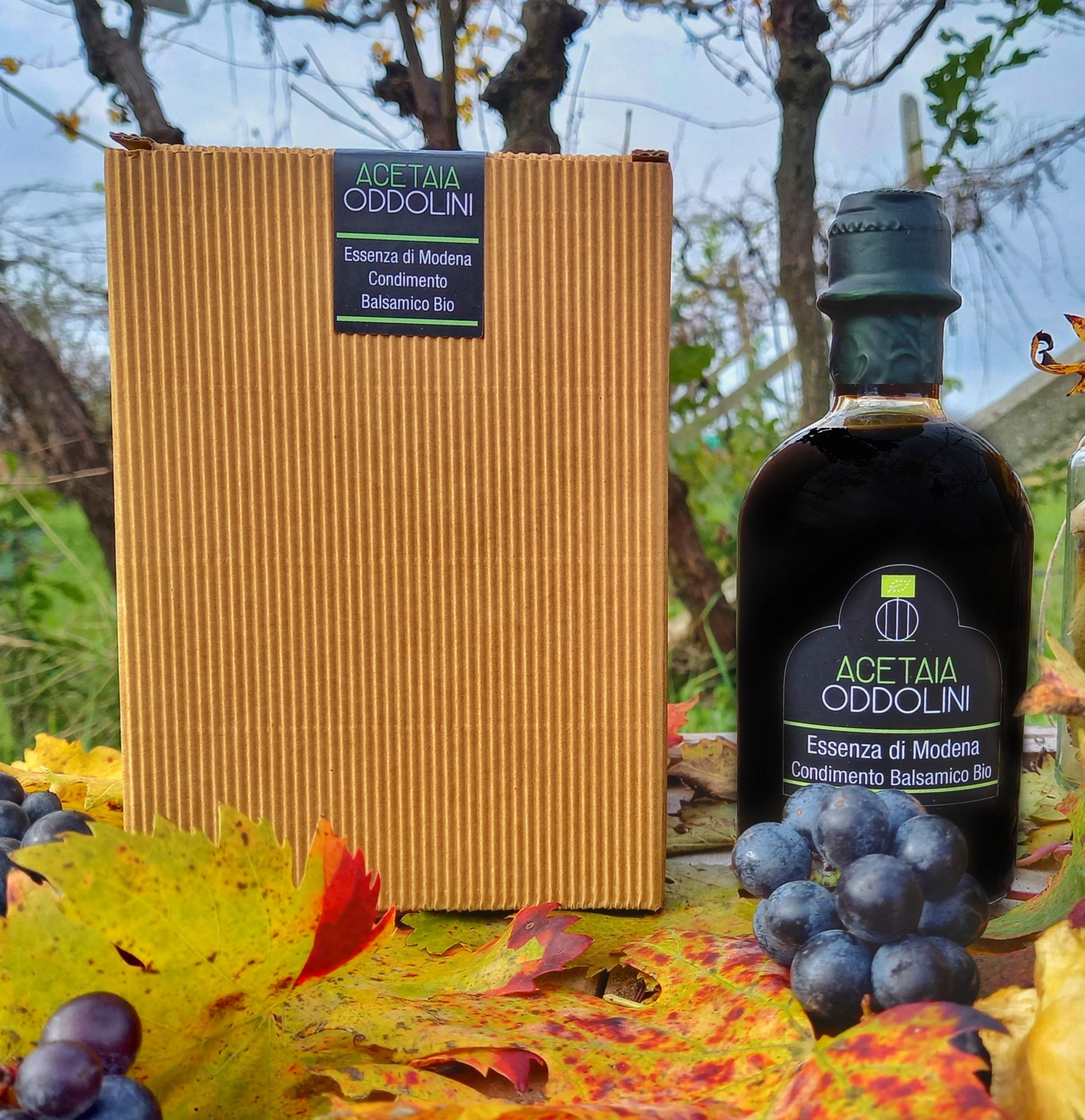 Acetaia Oddolini社 バルサミコ酢製造 イタリア | EU-Japan Centre